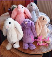 Lecatso-Sweetheart-Plushy bunny knuffel speelgoed-Plushies for kids-Stuffed toy for Animals-Valentine gift-I love Bunnies-Speelgoed konijntjes voor kinderen en dieren-Best bunny gift-Easter b