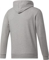 Reebok Ri Ft Oth Bl Hoodie Sweatshirt Mannen Grijs S