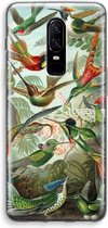 CaseCompany® - OnePlus 6 hoesje - Haeckel Trochilidae - Soft Case / Cover - Bescherming aan alle Kanten - Zijkanten Transparant - Bescherming Over de Schermrand - Back Cover