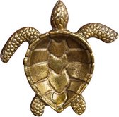 Schildpad schaaltje