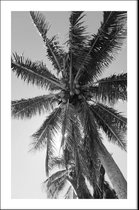Walljar - Onderzicht Palmboom - Muurdecoratie - Poster met lijst