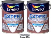 Levis Expert Gevel - Topkwaliteit Buitenmuurverf - Kleur RAL 7012 Basaltgrijs - 2x5 L