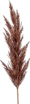 Plantenwinkel Grass Pampas Brown L 115 cm kunsttak per 1 stuks