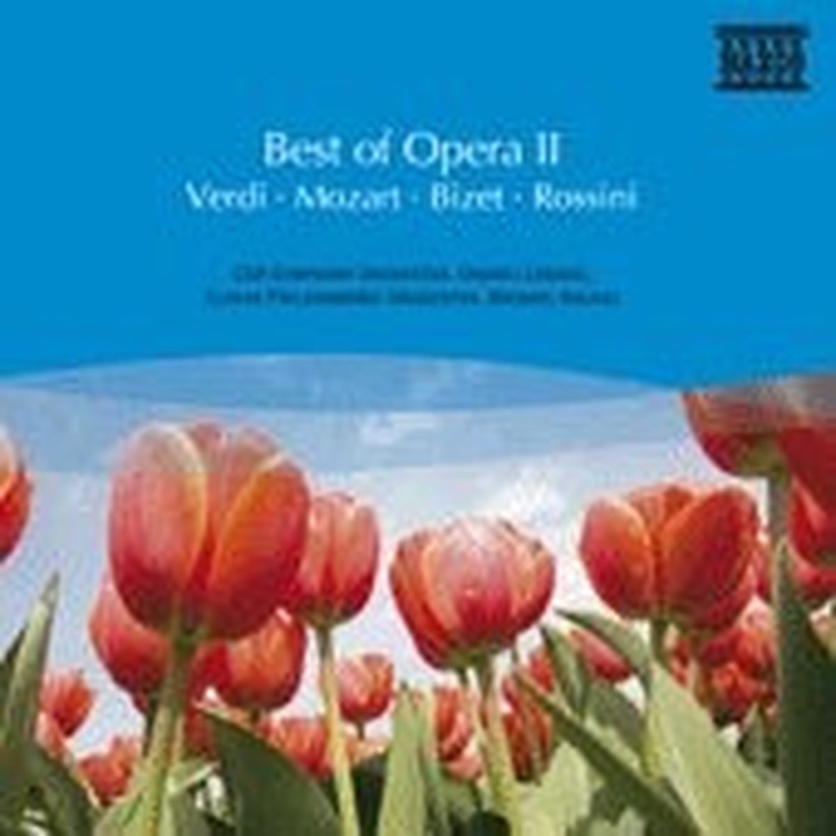 Various Artists - Best Of Opera II (CD)