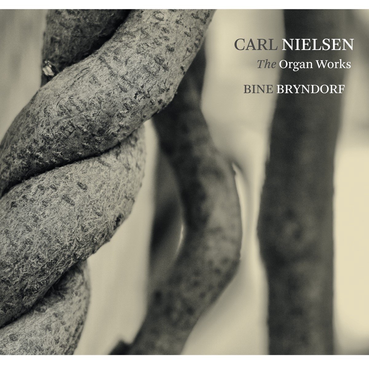 Bine Bryndorf & Torsten Nielsen - Nielsen: The Organ Works (SACD)