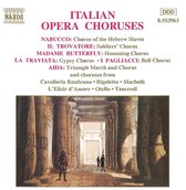 Various Artists - Italian Opera Chorus (CD)