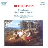 Nicolaus Esterhazy Sinfonia - Symphonies Nos. 1 & 6 (CD)