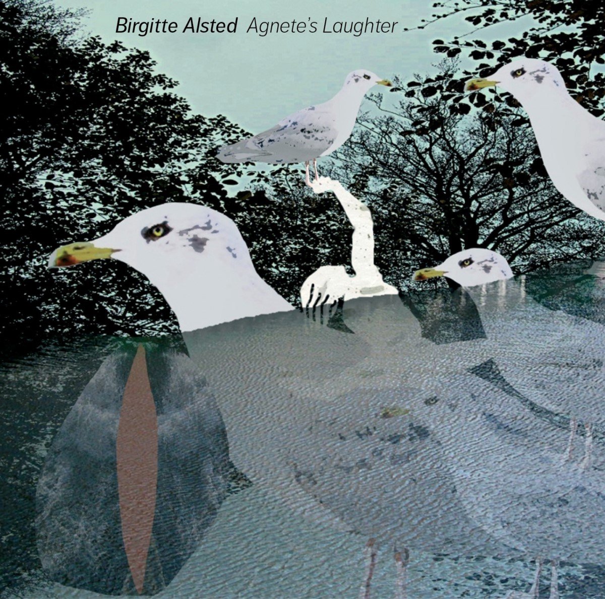 Rasmus Schærff Kjøller & Birgitte Alsted - Alsted: Agnete's Laughter (CD)