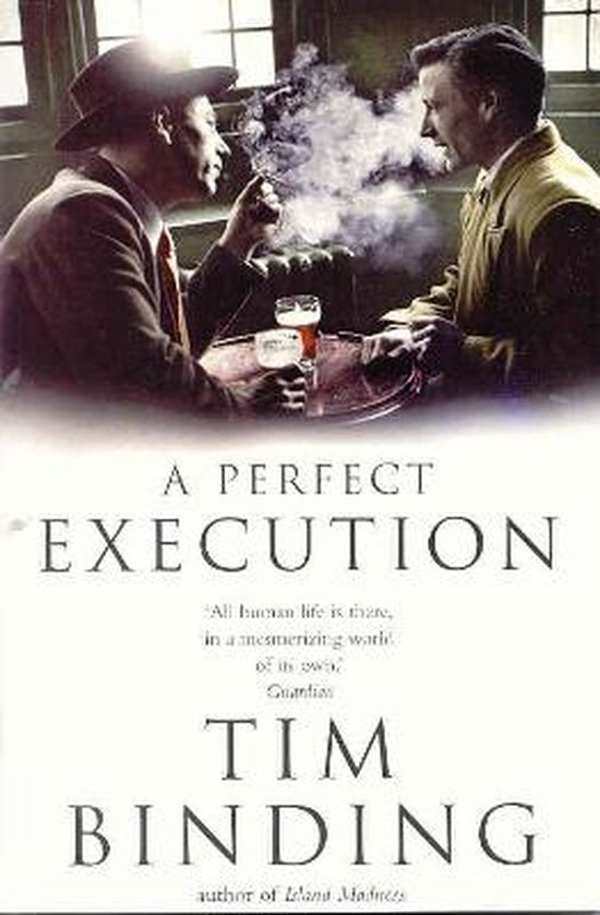 A Perfect Execution, Tim Binding 9780330345651 Boeken