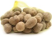 Pootaardappel 'Frieslander', maat 28/35 - 2 kilo - vroeg ras - vastkokend - voordelige keuze