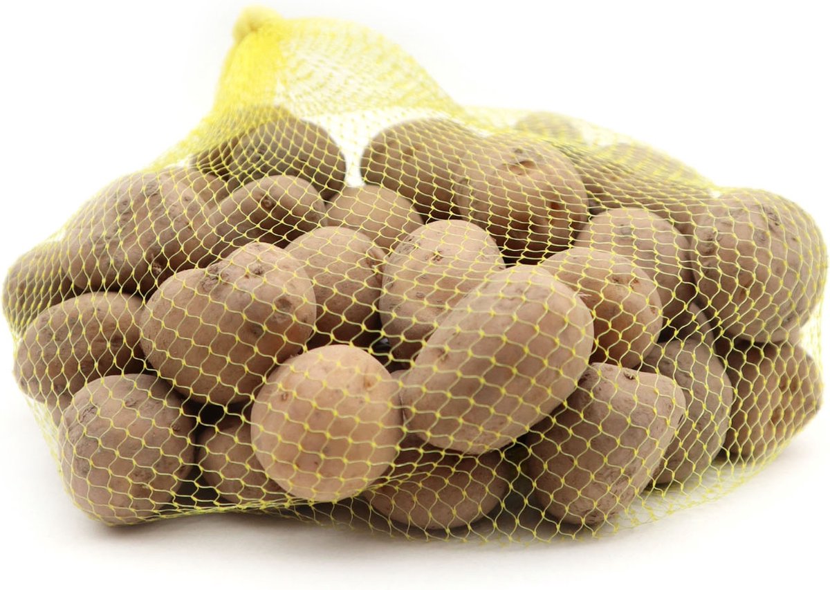 Pootaardappel 'Berber', maat 28/35 - vroeg ras - 1kg (35-40st.)
