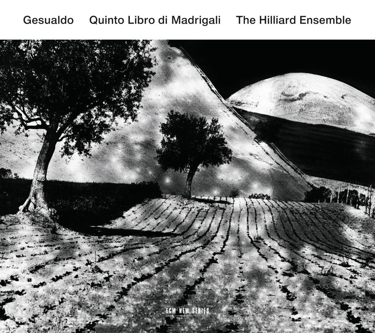 The Hilliard Ensemble - Gesualdo: Quinto Libro Di Madrigal (CD)