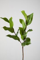 Kunsttak - salal blad - topkwaliteit decoratie - 2 stuks - zijden plant - Groen - 64 cm hoog