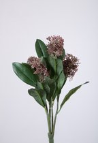 Kunstplant - Skimmia - topkwaliteit decoratie - 2 stuks - decoratieve tak - Paars - 30 cm hoog
