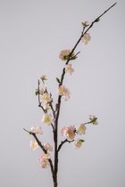 Kunstbloem - Bloesem - topkwaliteit decoratie - 2 stuks - zijden bloem - Peach Zalm - 102 cm hoog