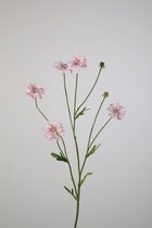 Kunstbloem - Cosmos - Cosmea - topkwaliteit decoratie - 2 stuks - zijden bloem - Roze - 66 cm hoog