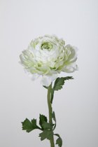 Kunstbloem - Boterbloem - Ranunculus - topkwaliteit decoratie - 2 stuks - zijden bloem - Groen - 49 cm hoog