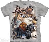 T-shirt Sky Kings L