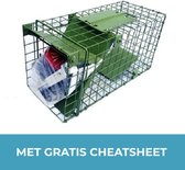Unpest - Rattenvangkooi - Rattenval - Metaal - Compleet Pakket - Met Gratis Cheatsheet