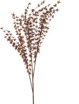 Pomax - Kunstplant / kunstbloem - Bruin / groen - 123 cm hoog.