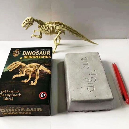Jeu Scientifique Archéologie Jouet Tyrannosaurus et Deinonychus Dinosaure Fossil Science Kit 