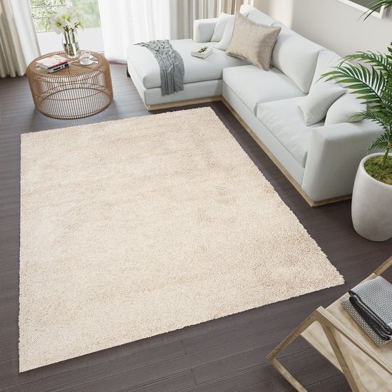 Tapis shaggy beige à poils longs dans un salon à la décoration moderne.
