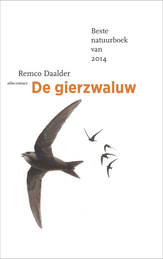 Boek cover De vogelserie 2 -   De gierzwaluw van Remco Daalder (Paperback)