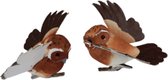Decoratie vogeltjes op knijper bruine versie - Bruin / Zwart - Kunststof / Metaal - 7 cm - Set van 2 - Decoratie - DIY - Knutselen - Interieur