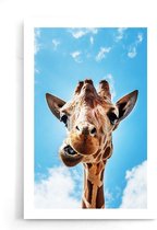 Walljar - Crazy Giraffe - Dieren poster