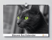 Blauwe Rus verjaardagskalender | 35 X 24CM | Verjaardagskalender kattensoort de Blauwe Rus | Verjaardagskalender Volwassenen