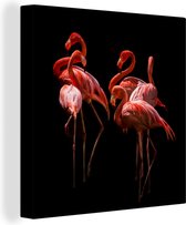 Canvas Schilderij Amerikaanse flamingo's in slapende positie op een zwarte achtergrond - 90x90 cm - Wanddecoratie