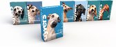Visvrij hondenmenu Dyvers - Dagelijks wisselende hondenbrokken - 100% natuurlijk - Volledig vrij van vis hondenvoer - 7x1kg