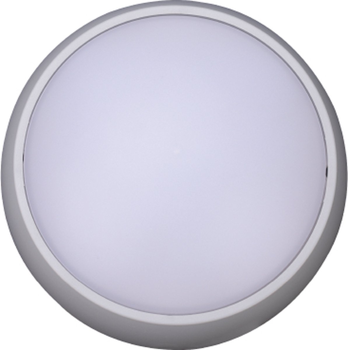 Prilux “Masne” Wandlamp LED | 8W - 586lm - 3000K | voor binnen en buiten | kleur grijs