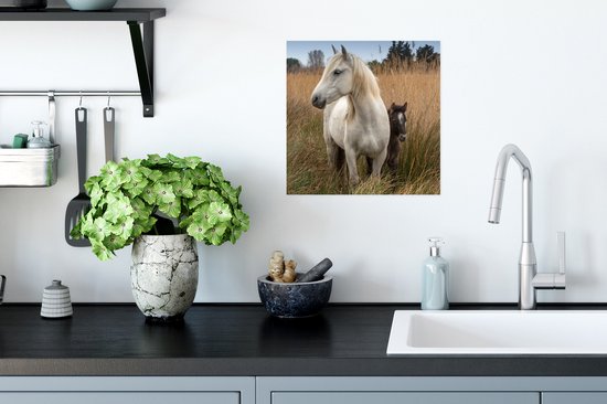 Poster Cheval avec poulain en Camargue - 30x30 cm