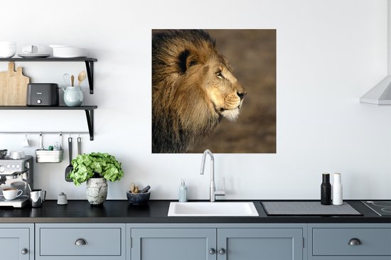 Affiche Profil - Lion - Afrique - 75x75 cm