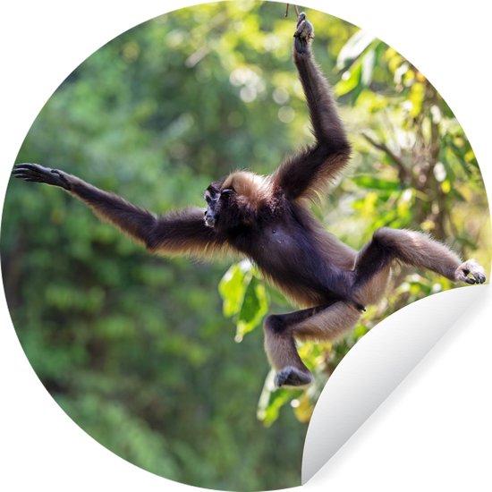 Cercle de papier peint - Singe sautant dans la jungle - 50x50 cm - Cercle mural - Auto-adhésif - Autocollant rond pour papier peint