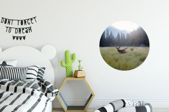 WallCircle - Muurstickers - Behangcirkel - Bos - Herten - Mist - 50x50 cm - Muurcirkel - Zelfklevend - Ronde Behangsticker