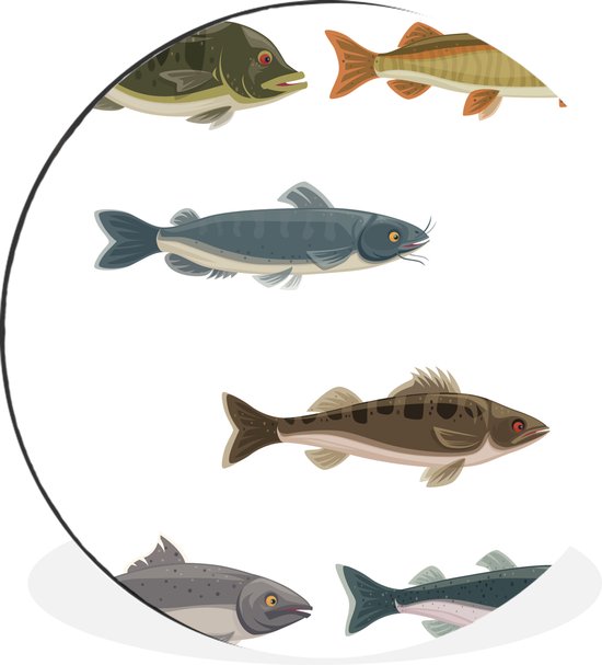 WallCircle - Wandcirkel - Muurcirkel - Een illustratie van zes gekleurde vissen - Aluminium - Dibond - ⌀ 60 cm - Binnen en Buiten