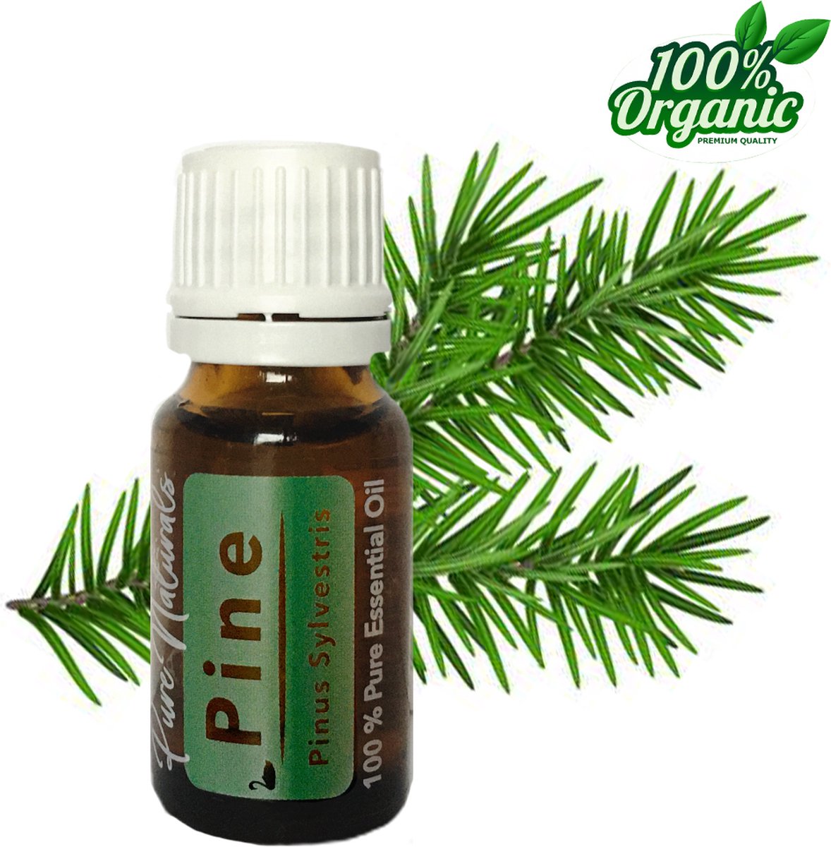 Goedkoopste Dennen etherische Olie 10 ml | Pine Oil | 100 PUUR | Bio | Essentiële olie Aromatherapie | Olie diffuser | Pure Naturals