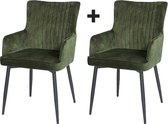 Haluta Vintage Velvet Eetkamerstoelen - mét armleuning - mét Pocketvering - Set van 2 - 60 x 62 x 90 cm