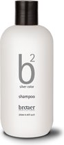 Shampoo B2 Silver Broaer