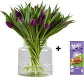 Chocolade giftbox (12 paarse tulpen)