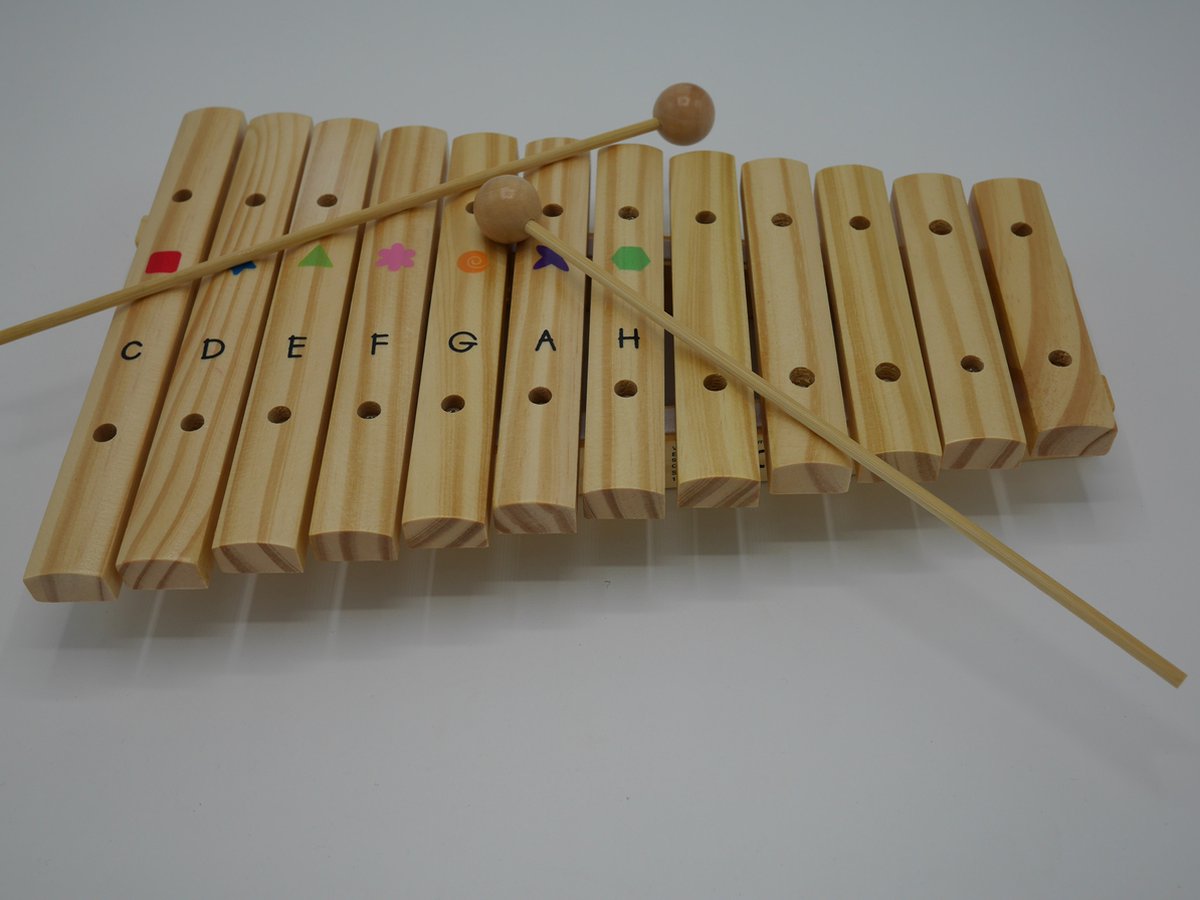 Slaginstrument Met Houten Staafjes En Stokken