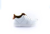 Hip Sneaker H1706-30CO-AC wit cognac-33