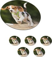 Onderzetters voor glazen - Rond - Pup - Beagle - Rennen - 10x10 cm - Glasonderzetters - 6 stuks