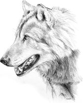 Wolf 4 - Kunst - Marco der Kinderen - Poster - 50 x 70 cm