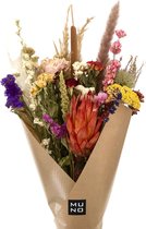 Muno - Droogbloemen - kleurrijk - gekleurd - boeket - gedroogde bloemen - wilde bloemen - bloemenmix - droogbloemen abondance - droogboeket