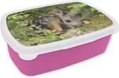 Broodtrommel Roze - Lunchbox - Brooddoos - Slapende ree - 18x12x6 cm - Kinderen - Meisje