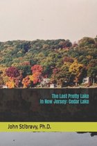 The Last Pretty Lake in New Jersey