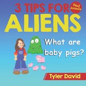 What are baby pigs?